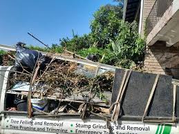 Best Foreclosure Cleanout  in Lowry Crossing, TX